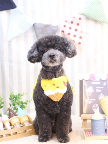 20250509コタロウくん